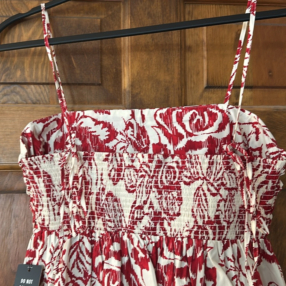 Express Dress - Picture 3 of 4